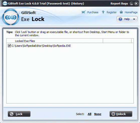 GiliSoft Exe Lock Crack & Keygen
