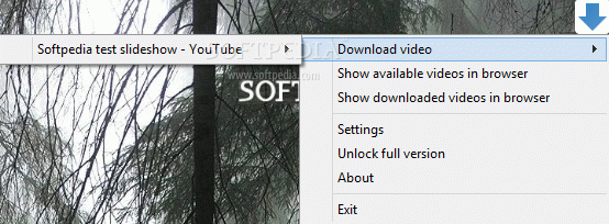 Video Downloader Ultimate Crack With Serial Key Latest